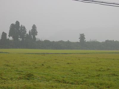 また雨が降り始めました＠魚沼産コシヒカリの田んぼ