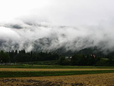 田んぼの向こうの山にかかっていた霧が徐々に晴れてきています