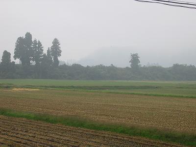 霧の朝＠魚沼産コシヒカリの田んぼ