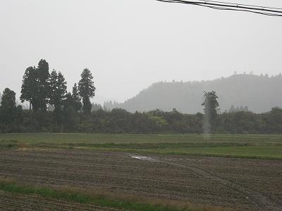 魚沼産コシヒカリの田んぼでは冷たい雨が降っています