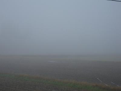 今朝の魚沼産コシヒカリの田んぼはすごく寒いです