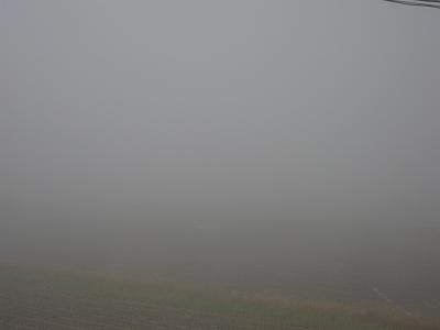 冷え込んでいて霧が深い朝です