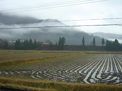 雨降りで山に霧がかかっています＠魚沼産コシヒカリの田んぼ