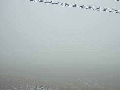 今朝は霧に包まれています＠魚沼産コシヒカリの田んぼ