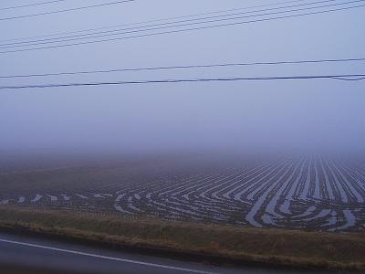 霧に覆われた寒い朝です＠魚沼産コシヒカリの田んぼ