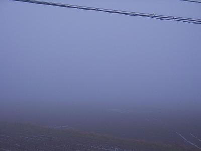 霧に覆われた寒い朝です＠魚沼産コシヒカリの田んぼ