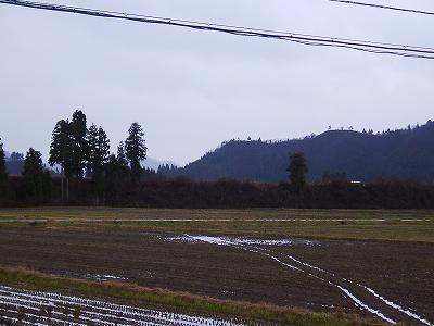 今日も雨降りです＠魚沼産コシヒカリの田んぼ