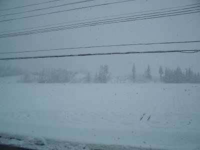 魚沼産コシヒカリの田んぼは雪が積もって本格的な冬の景色になりました