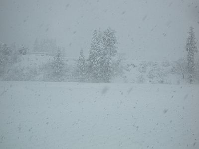 魚沼産コシヒカリの田んぼは雪が積もって本格的な冬の景色になりました