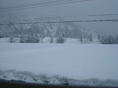 昨日から30cmくらいの雪が積もりました＠魚沼産コシヒカリの田んぼ