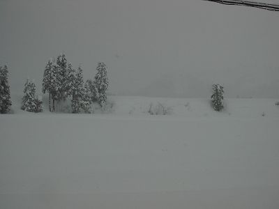 また50～60cmくらいの雪が積もりました＠魚沼産コシヒカリの田んぼ