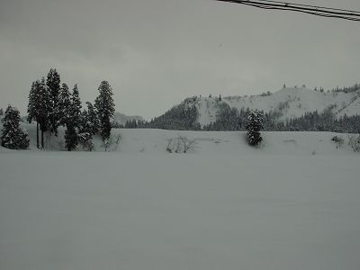 30cmほどの雪が積もりました＠魚沼産コシヒカリの田んぼ