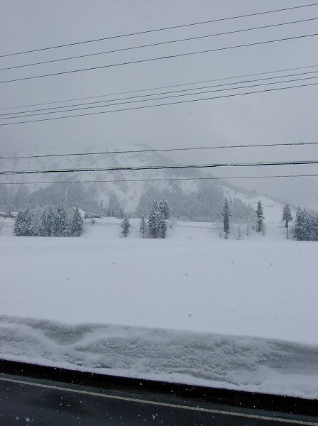 また5cm程の雪が降りました＠魚沼産コシヒカリの田んぼ
