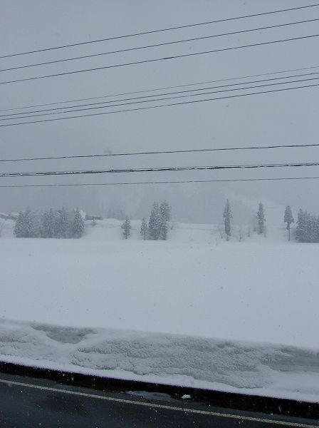 今朝もまた雪が降っています＠魚沼産コシヒカリの田んぼ