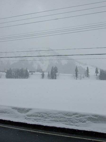 また10cmくらい雪が降りました＠魚沼産コシヒカリの田んぼ