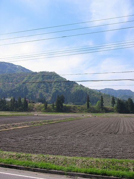 爽やかな初夏のいい天気です@魚沼産コシヒカリの田んぼ
