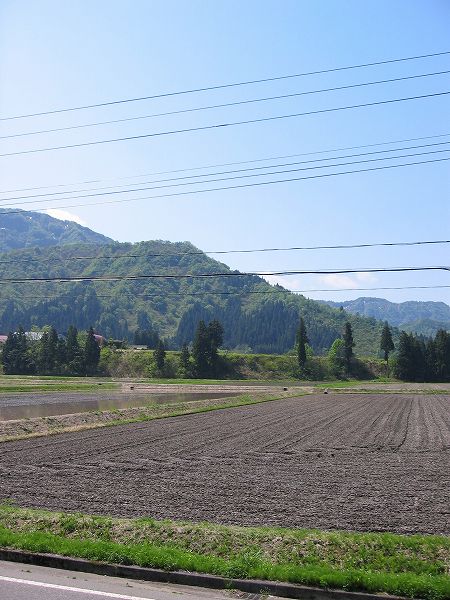 青空が広がって農作業日和となりました@魚沼産コシヒカリの田んぼ
