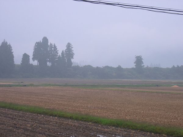 今朝の新潟県南魚沼市は弱い雨が降っています