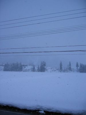 魚沼産コシヒカリの田んぼでは今日も雪が降っています