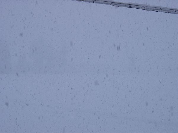 魚沼産コシヒカリの田んぼでは雪が強く降っています
