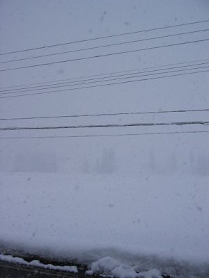今日も魚沼産コシヒカリの田んぼは大雪です