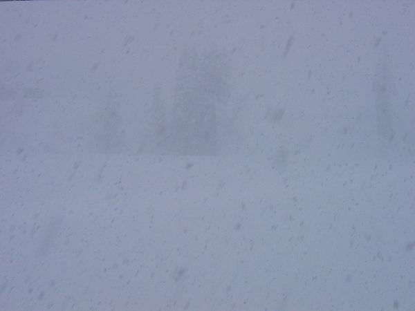 今日も魚沼産コシヒカリの田んぼは大雪です