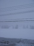 今朝も魚沼産コシヒカリの田んぼでは激しく雪が降り続いています