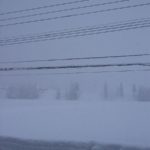 今朝も魚沼産コシヒカリの田んぼでは激しく雪が降り続いています