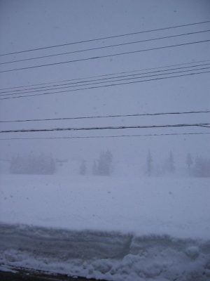 今日もまだ南魚沼市では雪が降り続いています