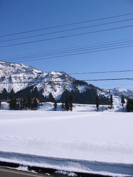 朝には15cmの積雪、その後は快晴の青空になりました