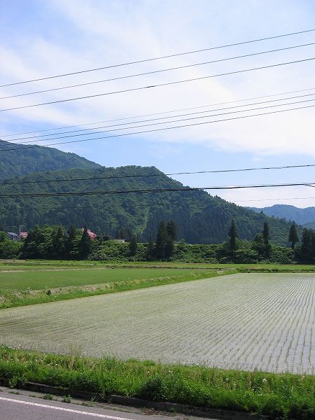 新潟県南魚沼市は日射しが強く、夏のような暑さになりました