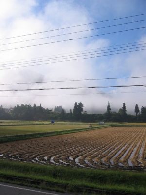 稲刈りが終わり、朝はすっかり秋らしく涼しくなってきました