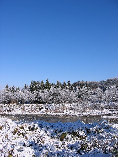 南魚沼市は青空が広がった雪景色になりました