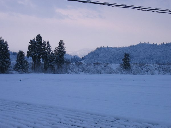 ひと晩で田んぼが雪景色に変わりました