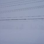 今日も魚沼産コシヒカリの田んぼでは雪が降り続いています