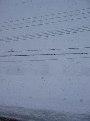 今日もまた魚沼産コシヒカリの田んぼは雪です