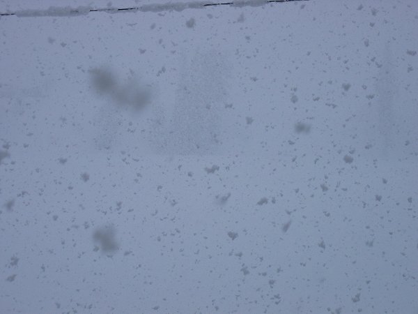 今日もまた魚沼産コシヒカリの田んぼは雪です