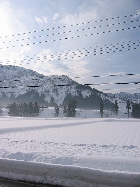 朝日が田んぼの雪面に反射してまぶしいです