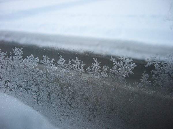 窓には氷の結晶が張りついています