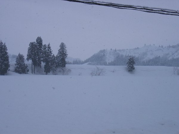 昨晩から今朝までに10cmくらい雪が積もりました