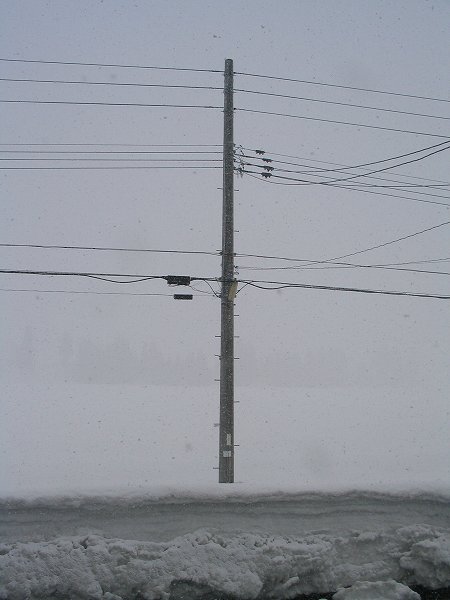 南魚沼市は真冬のような吹雪の景色になっています
