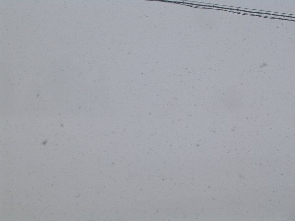 南魚沼市は真冬のような吹雪の景色になっています