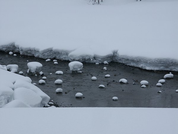 新潟県南魚沼市ではまた30cm近く雪が積もりました