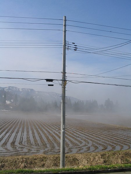 田んぼから水蒸気が上がっています