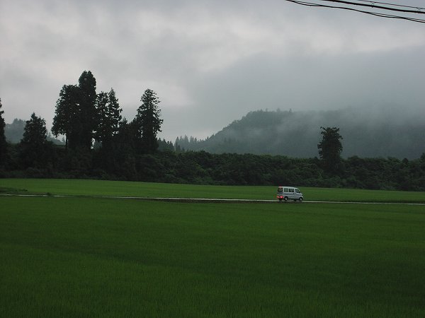 8月初日もまた雨降りです - 魚沼産コシヒカリの田んぼ＠新潟県南魚沼市