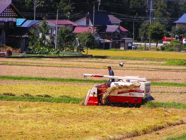 今日も稲刈り作業が続いています - 魚沼産コシヒカリの田んぼ＠新潟県南魚沼市