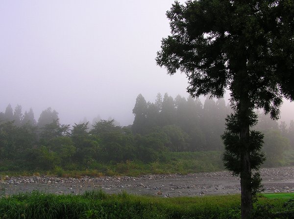 今日も寒い朝・・・霧が晴れてきました - 魚沼産コシヒカリの田んぼ＠新潟県南魚沼市