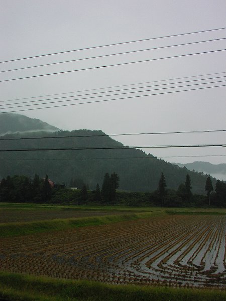 新潟県南魚沼市では冷たい雨が降っています