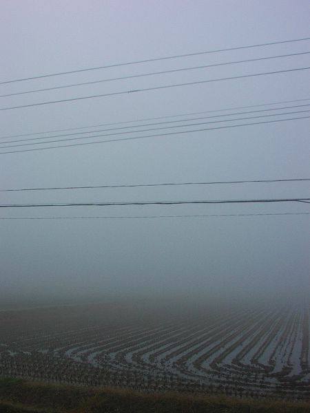 霧が深い朝です