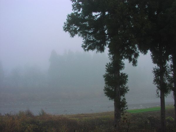 霧が深い朝です